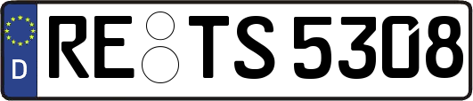 RE-TS5308