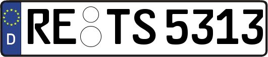 RE-TS5313