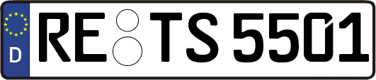 RE-TS5501