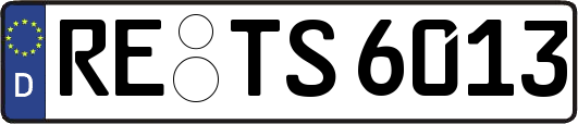 RE-TS6013