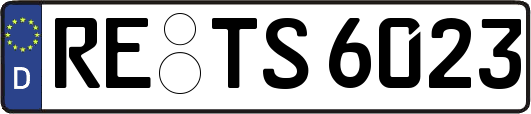 RE-TS6023