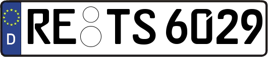 RE-TS6029