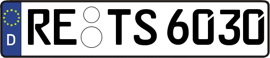 RE-TS6030