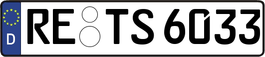 RE-TS6033