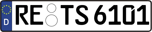RE-TS6101