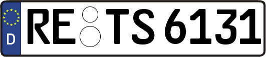 RE-TS6131