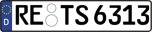 RE-TS6313