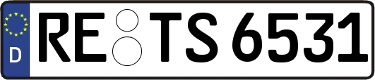 RE-TS6531