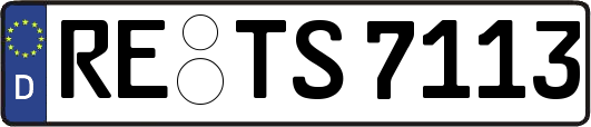 RE-TS7113