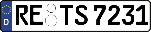 RE-TS7231