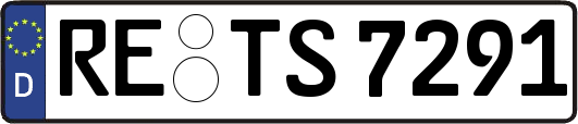 RE-TS7291