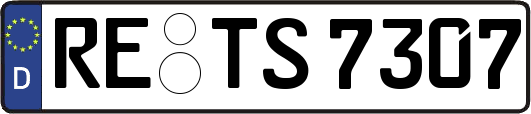 RE-TS7307