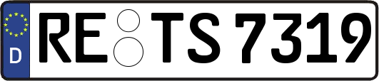 RE-TS7319