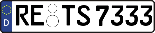RE-TS7333