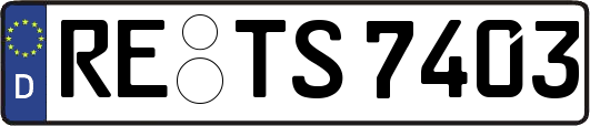 RE-TS7403