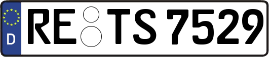 RE-TS7529