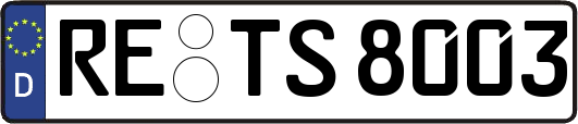 RE-TS8003