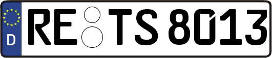 RE-TS8013
