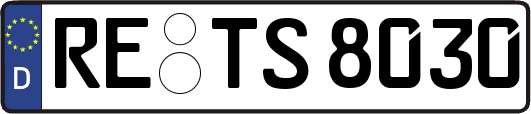 RE-TS8030