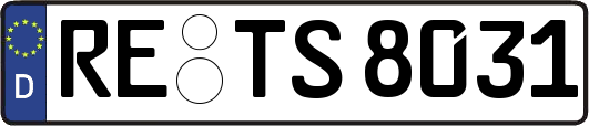 RE-TS8031