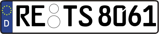 RE-TS8061