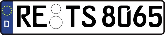 RE-TS8065
