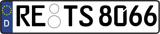 RE-TS8066