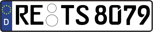 RE-TS8079