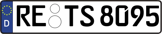 RE-TS8095