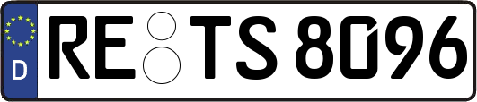 RE-TS8096
