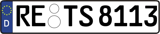 RE-TS8113
