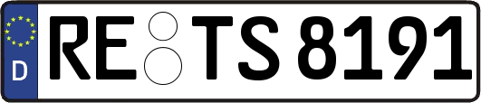 RE-TS8191