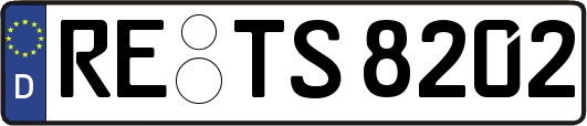 RE-TS8202