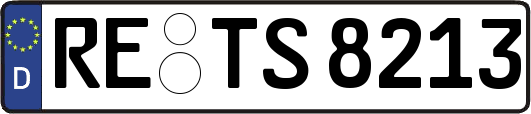 RE-TS8213