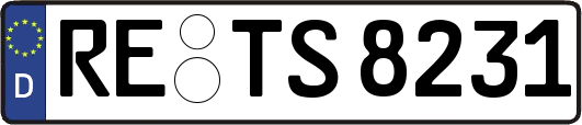 RE-TS8231