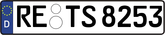 RE-TS8253