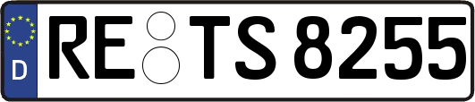 RE-TS8255
