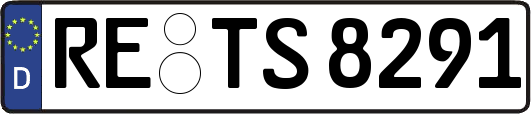 RE-TS8291