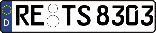 RE-TS8303