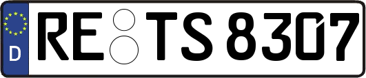 RE-TS8307
