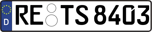 RE-TS8403