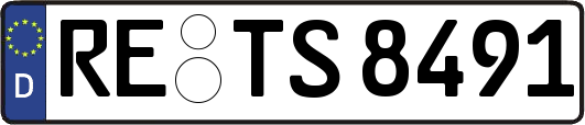 RE-TS8491
