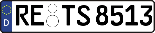 RE-TS8513