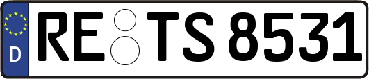 RE-TS8531