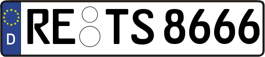 RE-TS8666