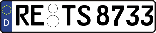 RE-TS8733