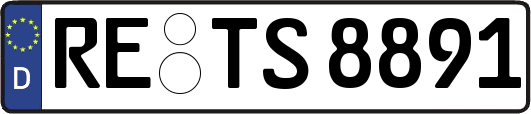 RE-TS8891