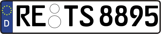 RE-TS8895