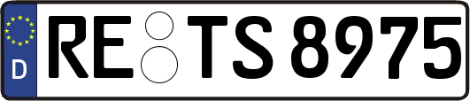 RE-TS8975