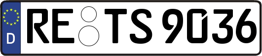 RE-TS9036